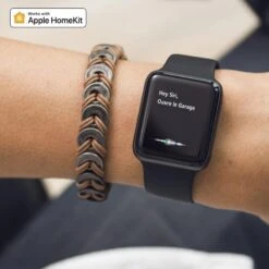 ISG-02WEU102 Récepteur Connecté Standard Pro Garage ISMARTGATE -BFT Soldes Magasin 1500x1500 siri 800x800